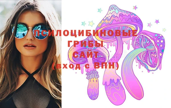 прущая мука Осташков