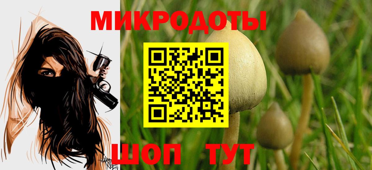 Псилоцибиновые грибы Psilocybe  Вход с VPN  Асбест 